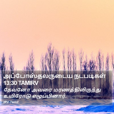 அப்போஸ்தலருடைய நடபடிகள் 13:30 TAMIRV Bible Verse Image