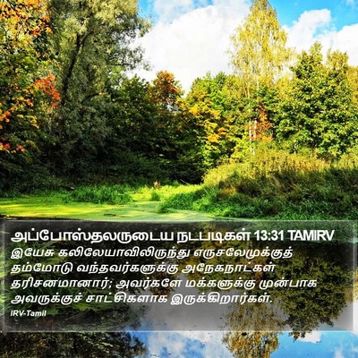 அப்போஸ்தலருடைய நடபடிகள் 13:31 TAMIRV Bible Verse Image