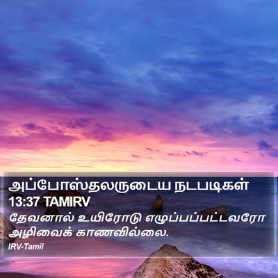 அப்போஸ்தலருடைய நடபடிகள் 13:37 TAMIRV Bible Verse Image