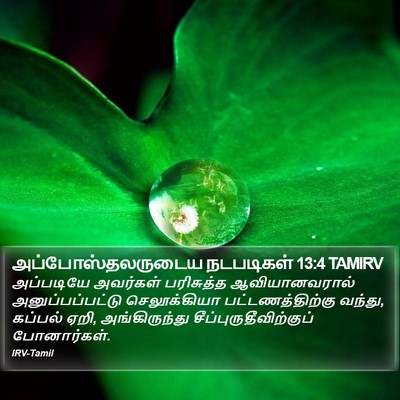 அப்போஸ்தலருடைய நடபடிகள் 13:4 TAMIRV Bible Verse Image