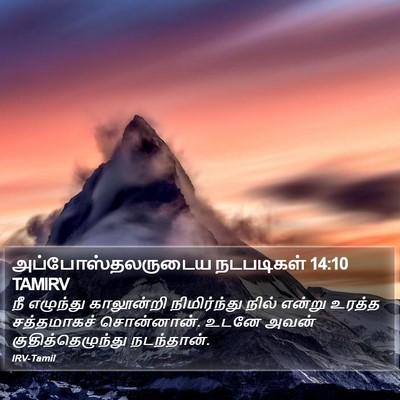 அப்போஸ்தலருடைய நடபடிகள் 14:10 TAMIRV Bible Verse Image
