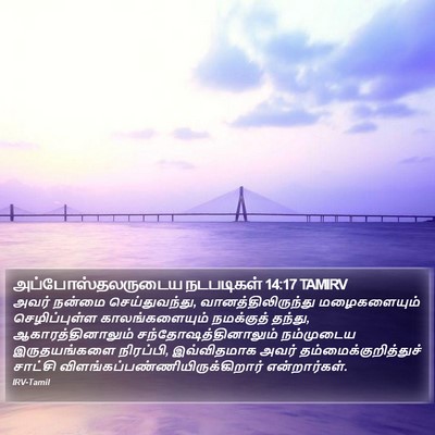 அப்போஸ்தலருடைய நடபடிகள் 14:17 TAMIRV Bible Verse Image