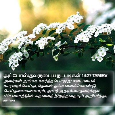 அப்போஸ்தலருடைய நடபடிகள் 14:27 TAMIRV Bible Verse Image