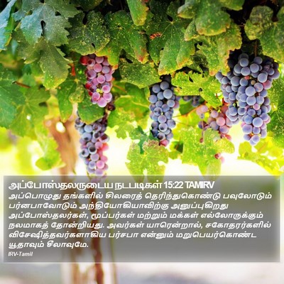 அப்போஸ்தலருடைய நடபடிகள் 15:22 TAMIRV Bible Verse Image