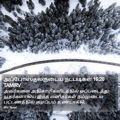அப்போஸ்தலருடைய நடபடிகள் 16:20 TAMIRV Bible Verse Image
