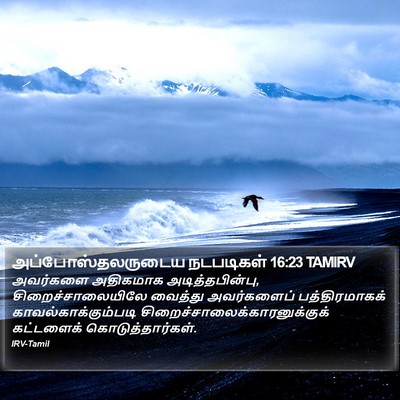 அப்போஸ்தலருடைய நடபடிகள் 16:23 TAMIRV Bible Verse Image