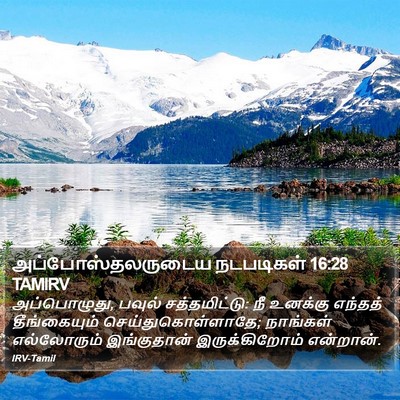 அப்போஸ்தலருடைய நடபடிகள் 16:28 TAMIRV Bible Verse Image