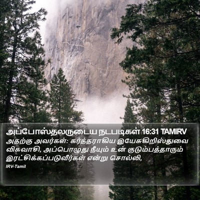 அப்போஸ்தலருடைய நடபடிகள் 16:31 TAMIRV Bible Verse Image