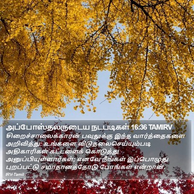 அப்போஸ்தலருடைய நடபடிகள் 16:36 TAMIRV Bible Verse Image