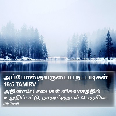 அப்போஸ்தலருடைய நடபடிகள் 16:5 TAMIRV Bible Verse Image