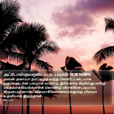 அப்போஸ்தலருடைய நடபடிகள் 18:28 TAMIRV Bible Verse Image