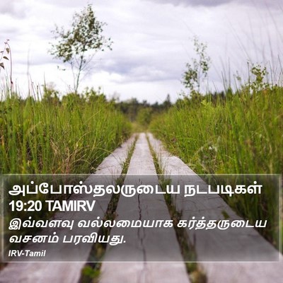 அப்போஸ்தலருடைய நடபடிகள் 19:20 TAMIRV Bible Verse Image