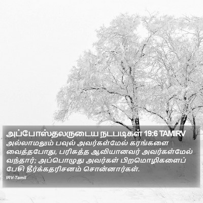 அப்போஸ்தலருடைய நடபடிகள் 19:6 TAMIRV Bible Verse Image