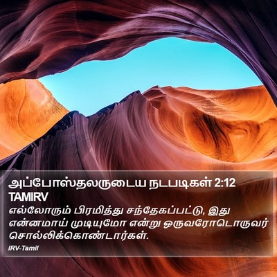 அப்போஸ்தலருடைய நடபடிகள் 2:12 TAMIRV Bible Verse Image