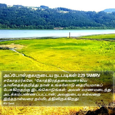 அப்போஸ்தலருடைய நடபடிகள் 2:29 TAMIRV Bible Verse Image