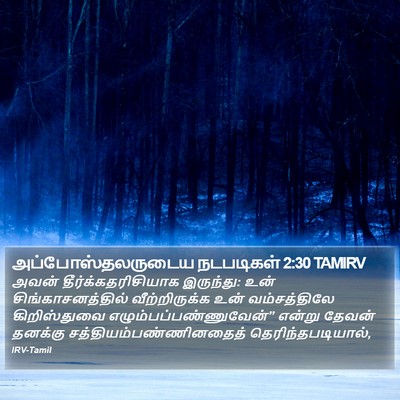அப்போஸ்தலருடைய நடபடிகள் 2:30 TAMIRV Bible Verse Image