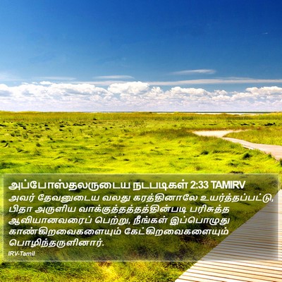 அப்போஸ்தலருடைய நடபடிகள் 2:33 TAMIRV Bible Verse Image