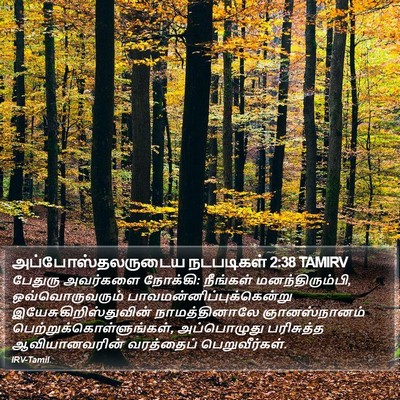 அப்போஸ்தலருடைய நடபடிகள் 2:38 TAMIRV Bible Verse Image