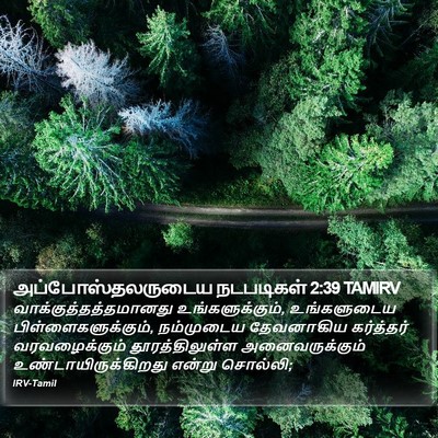 அப்போஸ்தலருடைய நடபடிகள் 2:39 TAMIRV Bible Verse Image