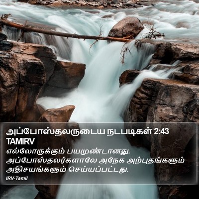அப்போஸ்தலருடைய நடபடிகள் 2:43 TAMIRV Bible Verse Image