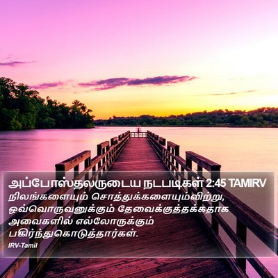அப்போஸ்தலருடைய நடபடிகள் 2:45 TAMIRV Bible Verse Image