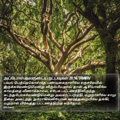 அப்போஸ்தலருடைய நடபடிகள் 20:16 TAMIRV Bible Verse Image