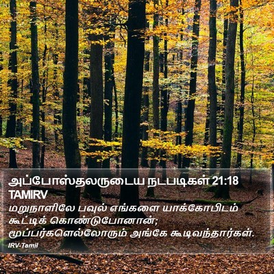 அப்போஸ்தலருடைய நடபடிகள் 21:18 TAMIRV Bible Verse Image