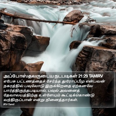 அப்போஸ்தலருடைய நடபடிகள் 21:29 TAMIRV Bible Verse Image
