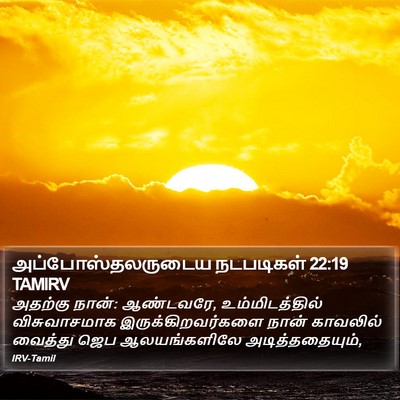 அப்போஸ்தலருடைய நடபடிகள் 22:19 TAMIRV Bible Verse Image