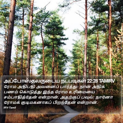 அப்போஸ்தலருடைய நடபடிகள் 22:28 TAMIRV Bible Verse Image