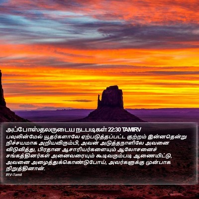 அப்போஸ்தலருடைய நடபடிகள் 22:30 TAMIRV Bible Verse Image