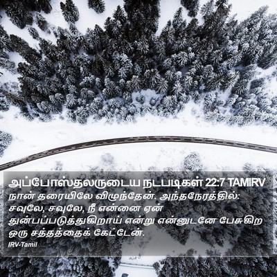 அப்போஸ்தலருடைய நடபடிகள் 22:7 TAMIRV Bible Verse Image