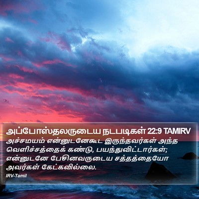 அப்போஸ்தலருடைய நடபடிகள் 22:9 TAMIRV Bible Verse Image