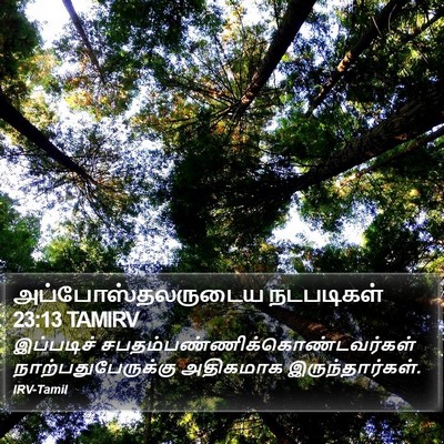 அப்போஸ்தலருடைய நடபடிகள் 23:13 TAMIRV Bible Verse Image