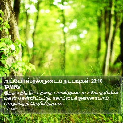 அப்போஸ்தலருடைய நடபடிகள் 23:16 TAMIRV Bible Verse Image