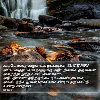 அப்போஸ்தலருடைய நடபடிகள் 23:17 TAMIRV Bible Verse Image