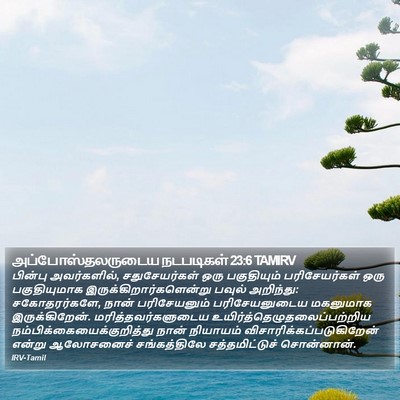 அப்போஸ்தலருடைய நடபடிகள் 23:6 TAMIRV Bible Verse Image