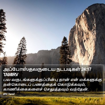 அப்போஸ்தலருடைய நடபடிகள் 24:17 TAMIRV Bible Verse Image