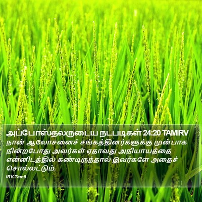 அப்போஸ்தலருடைய நடபடிகள் 24:20 TAMIRV Bible Verse Image