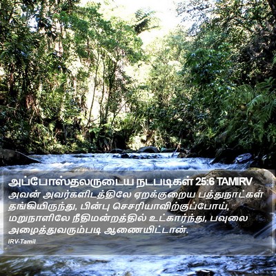 அப்போஸ்தலருடைய நடபடிகள் 25:6 TAMIRV Bible Verse Image