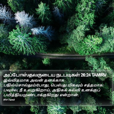அப்போஸ்தலருடைய நடபடிகள் 26:24 TAMIRV Bible Verse Image