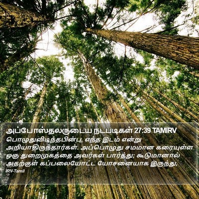 அப்போஸ்தலருடைய நடபடிகள் 27:39 TAMIRV Bible Verse Image