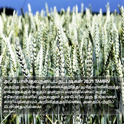 அப்போஸ்தலருடைய நடபடிகள் 28:21 TAMIRV Bible Verse Image