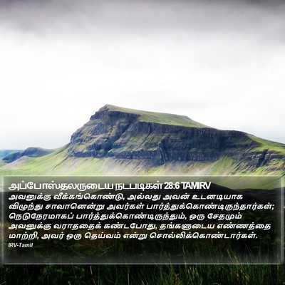அப்போஸ்தலருடைய நடபடிகள் 28:6 TAMIRV Bible Verse Image