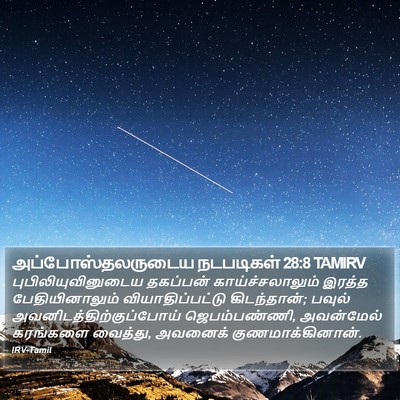 அப்போஸ்தலருடைய நடபடிகள் 28:8 TAMIRV Bible Verse Image