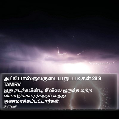 அப்போஸ்தலருடைய நடபடிகள் 28:9 TAMIRV Bible Verse Image