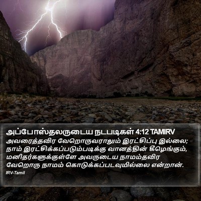 அப்போஸ்தலருடைய நடபடிகள் 4:12 TAMIRV Bible Verse Image