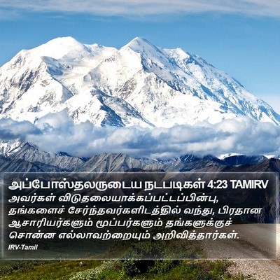அப்போஸ்தலருடைய நடபடிகள் 4:23 TAMIRV Bible Verse Image
