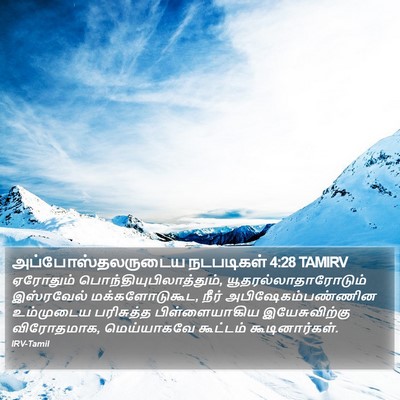 அப்போஸ்தலருடைய நடபடிகள் 4:28 TAMIRV Bible Verse Image