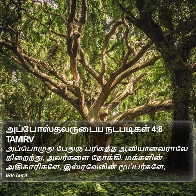 அப்போஸ்தலருடைய நடபடிகள் 4:8 TAMIRV Bible Verse Image